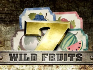 Play Wild Fruits