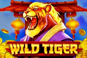 Play Wild Tiger