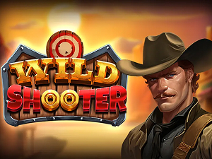 Play Wild Shooter